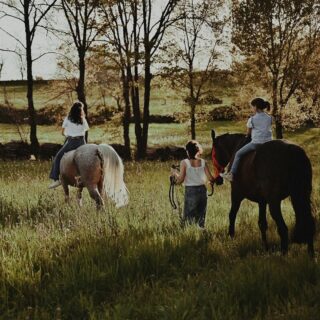 Une séance famille à domicile, avec leur tribu au complet. C'était 😍😍😍😍😍
#familytime #familyportrait #famille #familylove #portraitdefamille love amour bonheur photographeportrait photographefamille merefille photographedordogne photographemonpazier photographeperigueux photographebiron dordogne photographelotetgaronne lotetgaronne lifstyle @fannyl_photographe